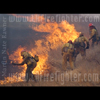 photograph of firefighters at work